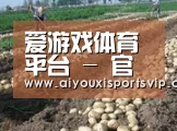 种植基地八